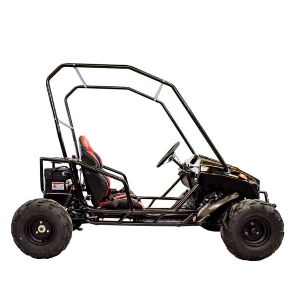 evolution duo 60v 2200w electric buggy