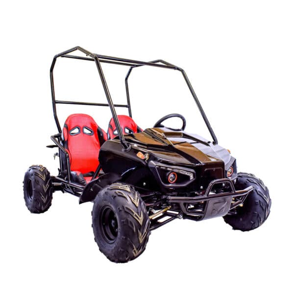 evolution duo 60v 2200w electric buggy