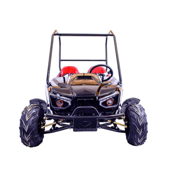 evolution duo 60v 2200w electric buggy