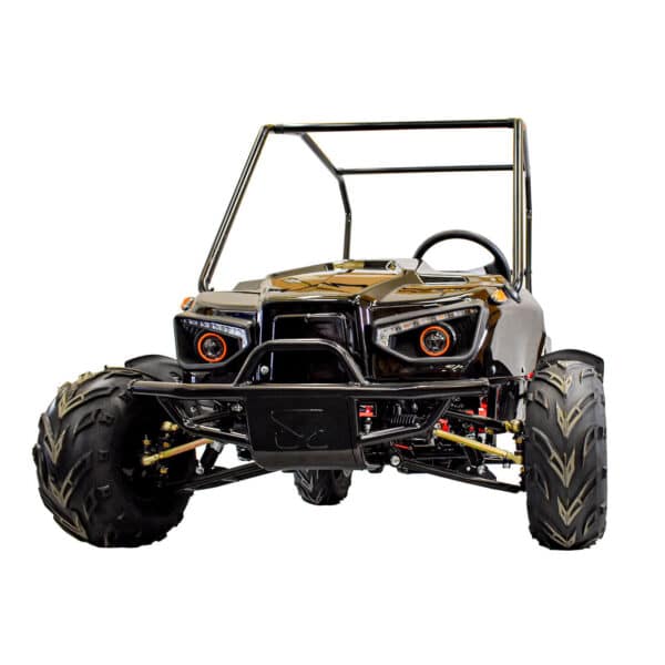 evolution duo 60v 2200w electric buggy