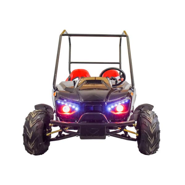 evolution duo 60v 2200w electric buggy