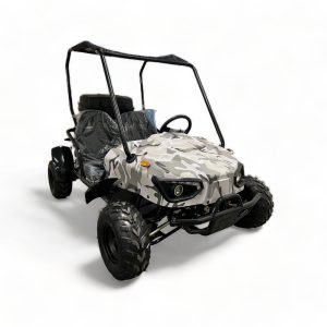 evolution duo 60v 2200w electric buggy
