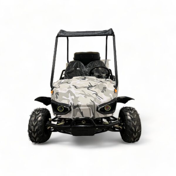 evolution duo 60v 2200w electric buggy
