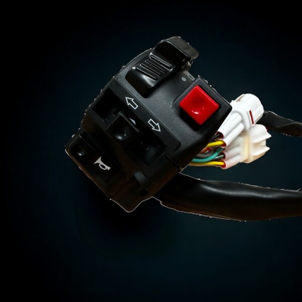 horn/light/reverse switch