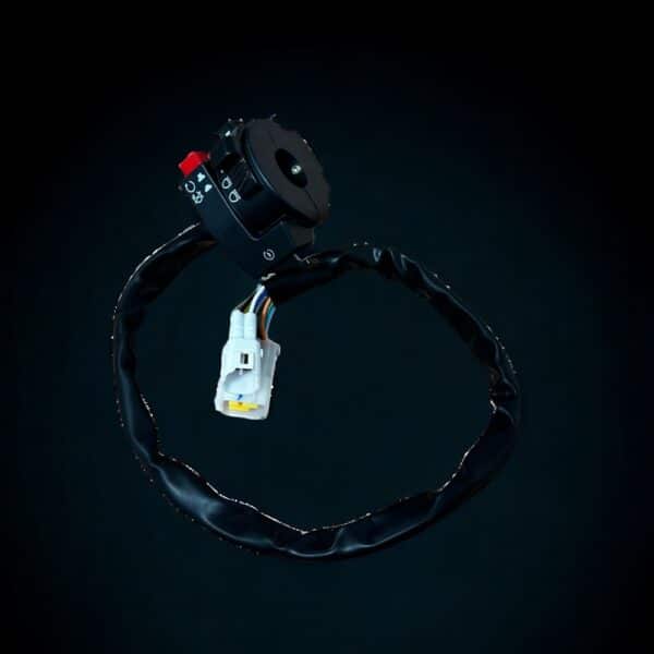 horn/light/reverse switch