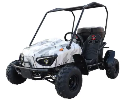 Evolution Range - Electric Go Karts