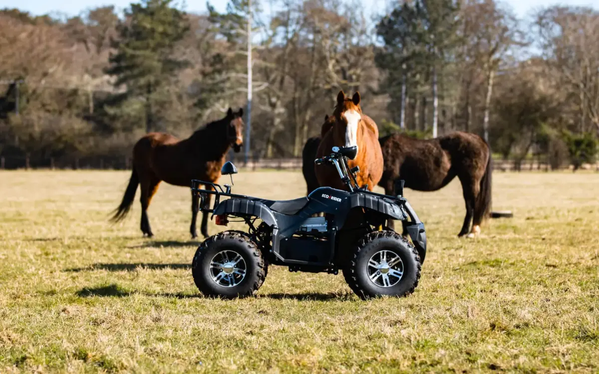 Explorer GT Electric Quad Bike In Horse Field