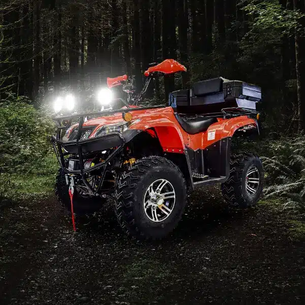 Explorer GTS In Dark Forest - Eco Rider