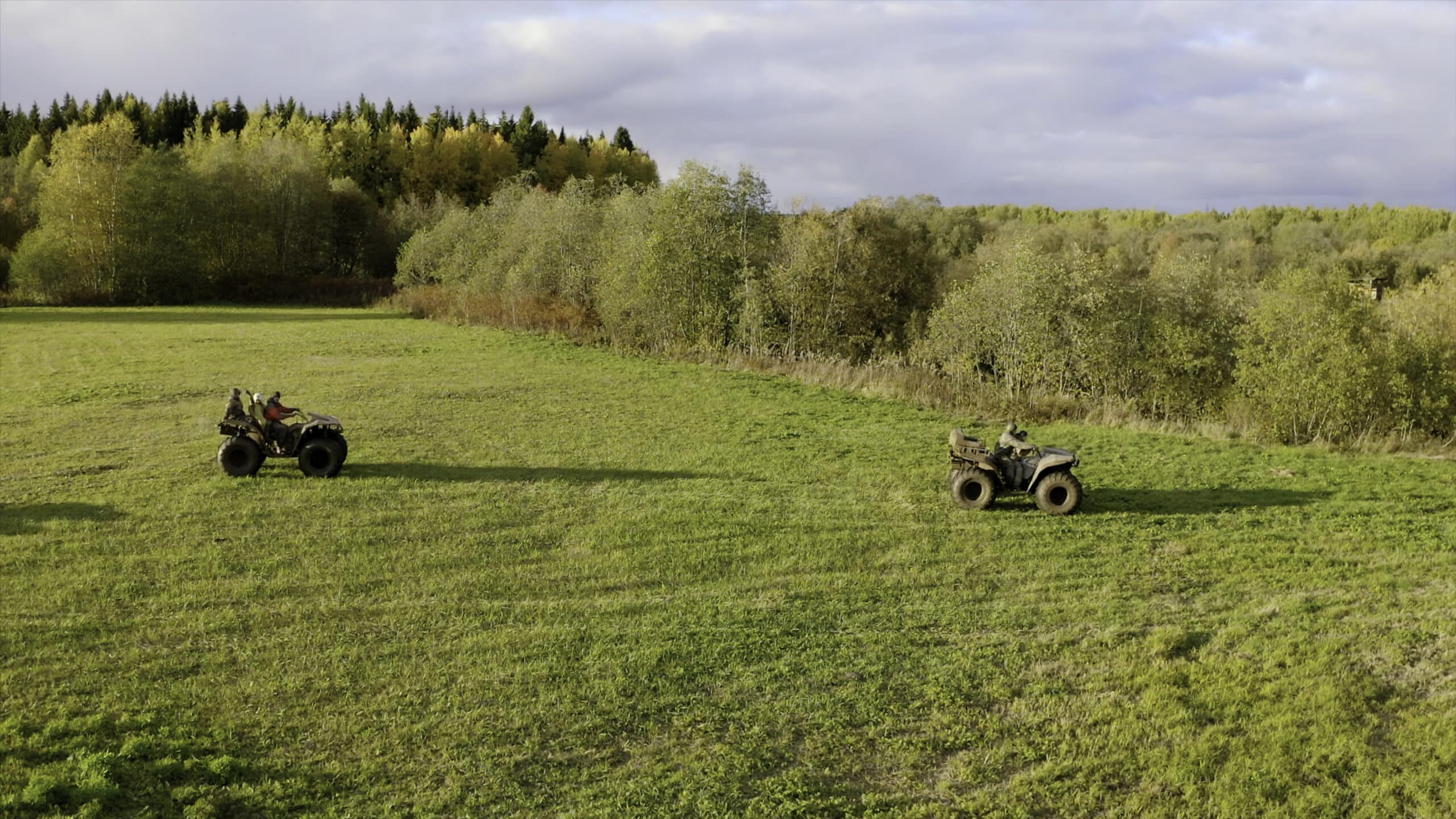 adult quad bikes