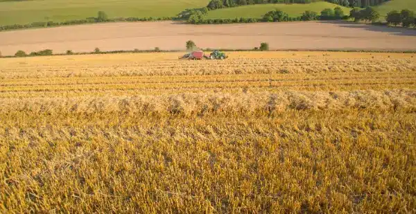 tractor bailing in a wheat field
