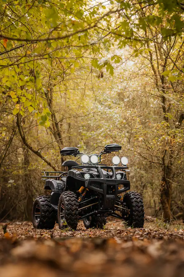 Eco Rider Explorer GT in forest