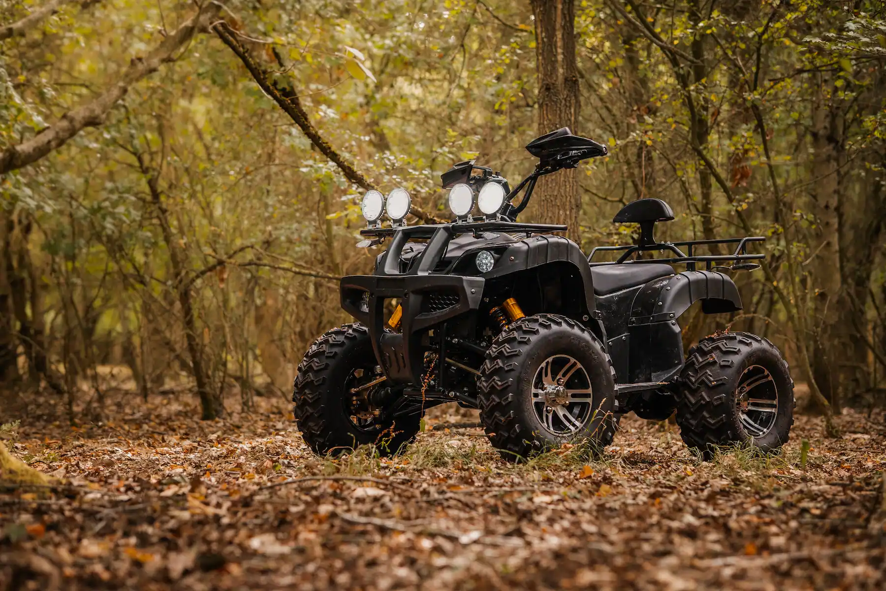 Eco Rider Explorer GT in forest